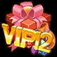 V12 Premium Package